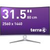 TERRA LCD/LED 3280W V3 silver/white CURVED USB-C/HDMI/DP-4