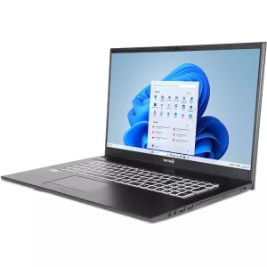 TERRA MOBILE 1716R i5-1334U W11-1