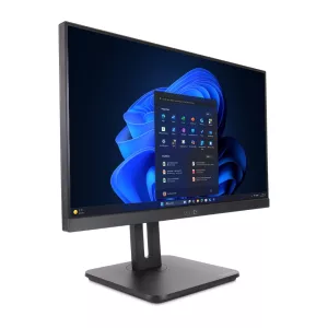 TERRA ALL-IN-ONE-PC 2420HA V2 GREENLINE-1