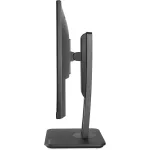 TERRA LCD/LED 2448W PV V4 schwarz HDMI/DP/USB-C/ GREENLINE PLUS-7